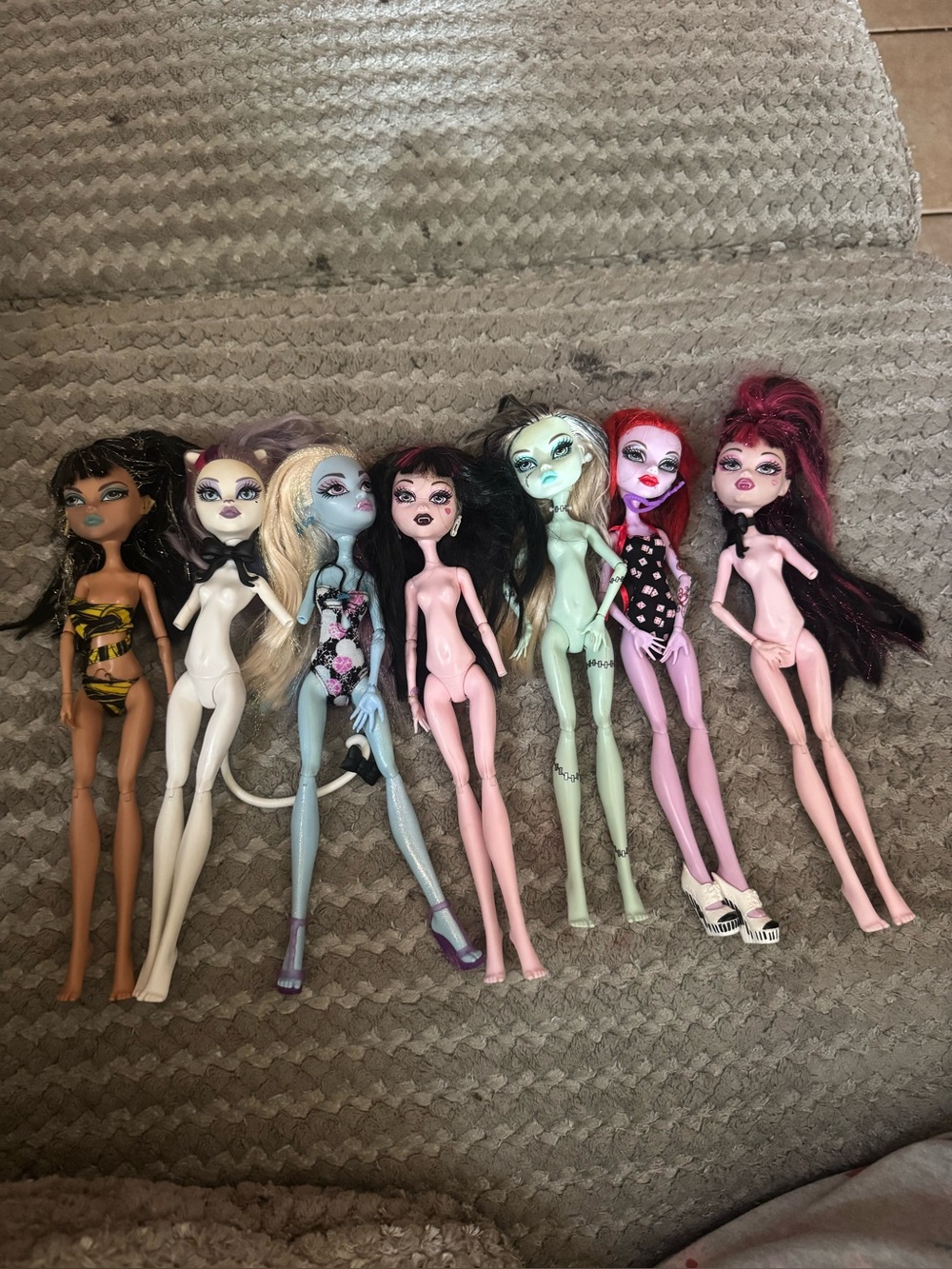 monster high dolls - brown, white, blue, pink, green, purple
